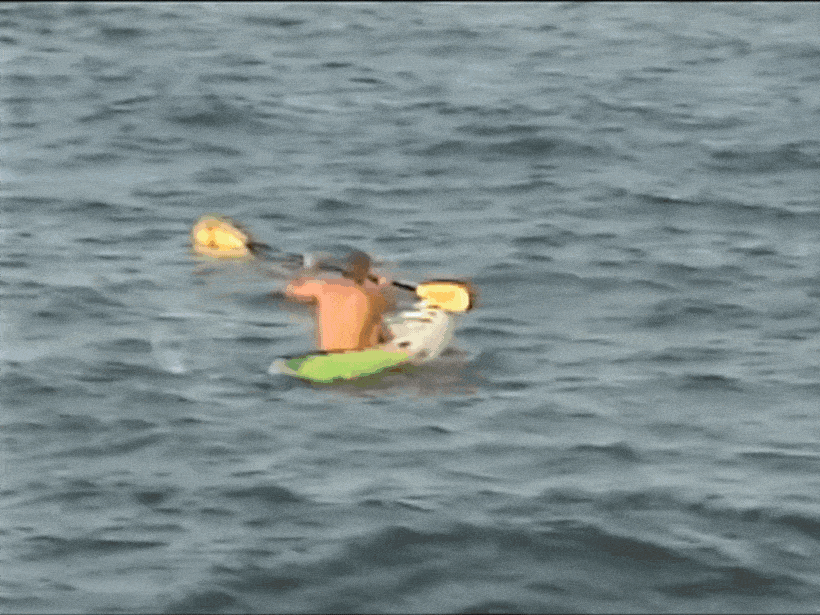 gif1-final
